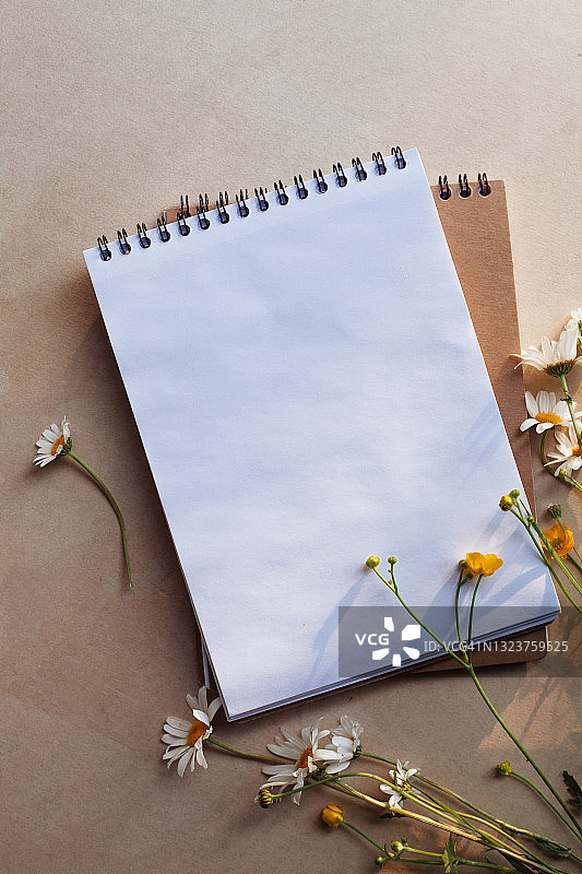 笔记本和雏菊花静物，带文本复制空间，创意概念图片素材