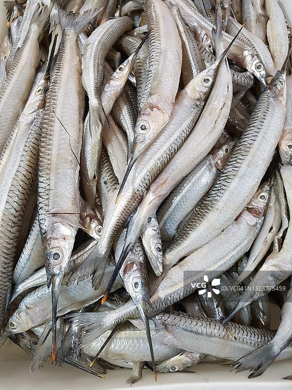 待售的鱼图片素材