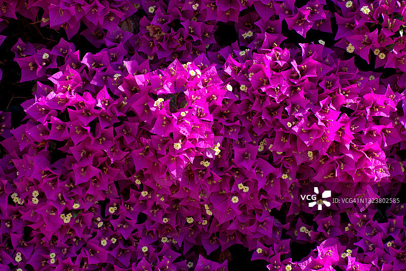 粉色墙壁图片素材