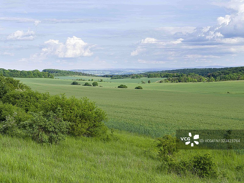 德国海尼希国家公园图片素材