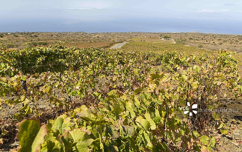 佛戈岛，佛得角图片素材