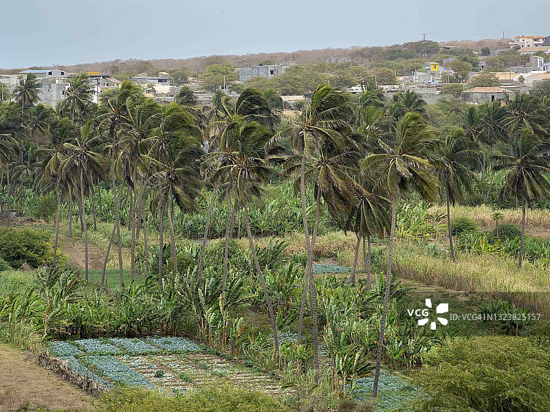 圣地亚哥，佛得角图片素材