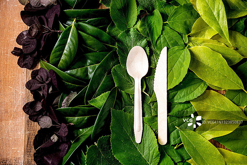 绿叶背景上的可回收木制刀叉图片素材