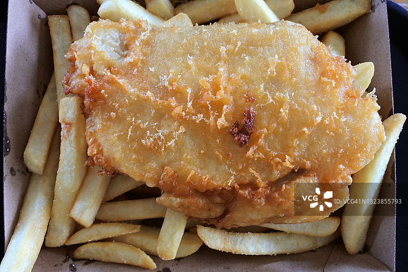 啤酒炸澳洲肺鱼图片素材