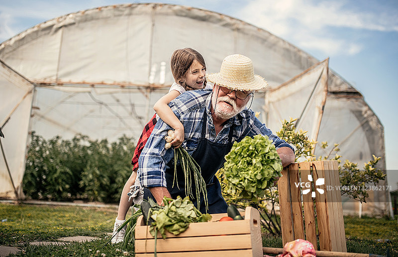 爷爷和孙女在花园里干活图片素材