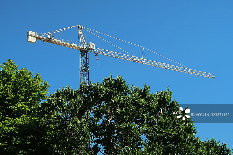 蓝天下树木上的建筑起重机图片素材