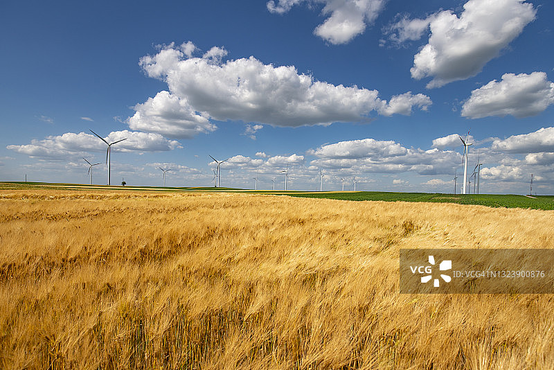 金色的麦田和阳光明媚的日子图片素材
