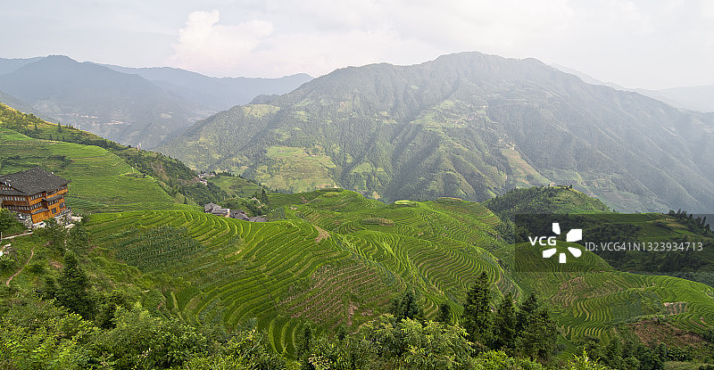 中国龙胜县龙脊梯田图片素材