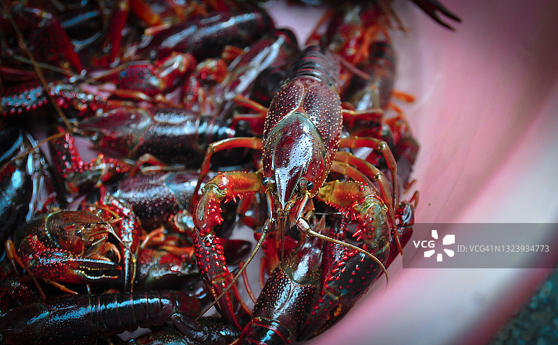 桶里的小龙虾图片素材