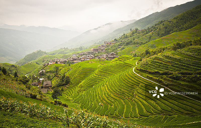 中国龙胜县龙脊梯田图片素材