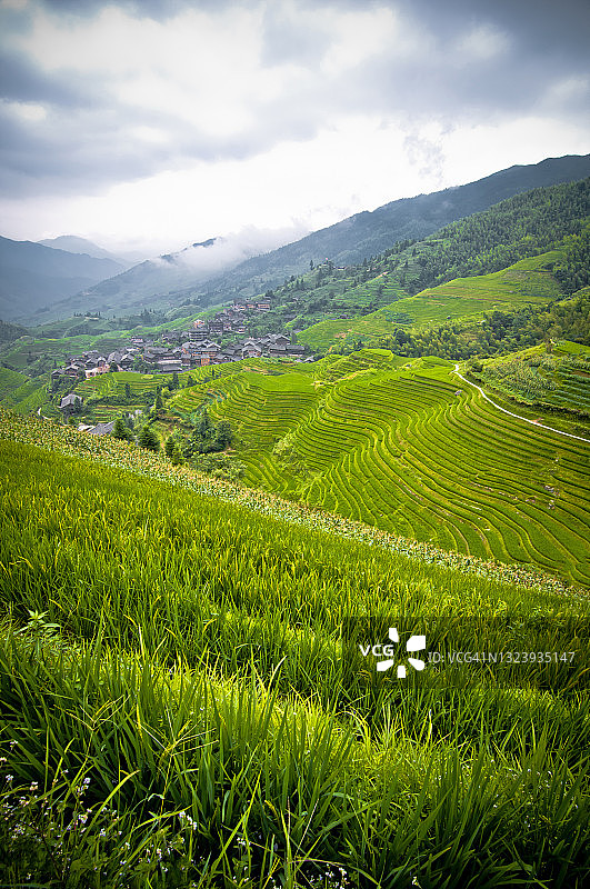 中国龙胜县龙脊梯田图片素材