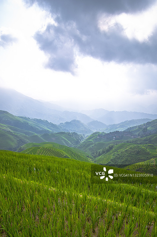 中国龙胜县龙脊梯田图片素材