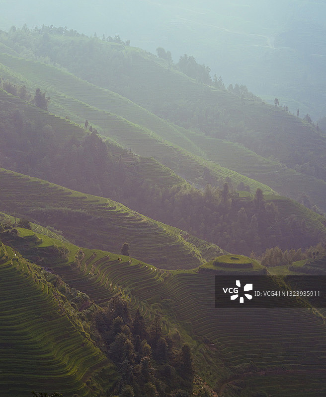 中国龙胜县龙脊梯田图片素材