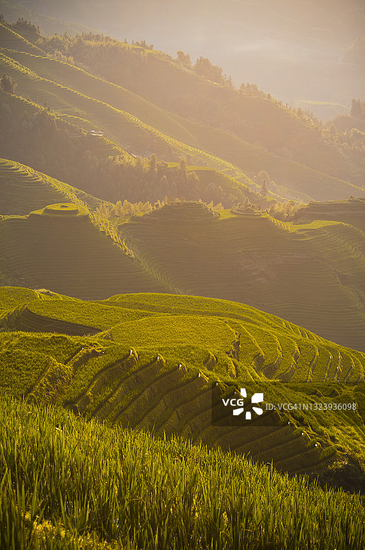 中国龙胜县龙脊梯田图片素材