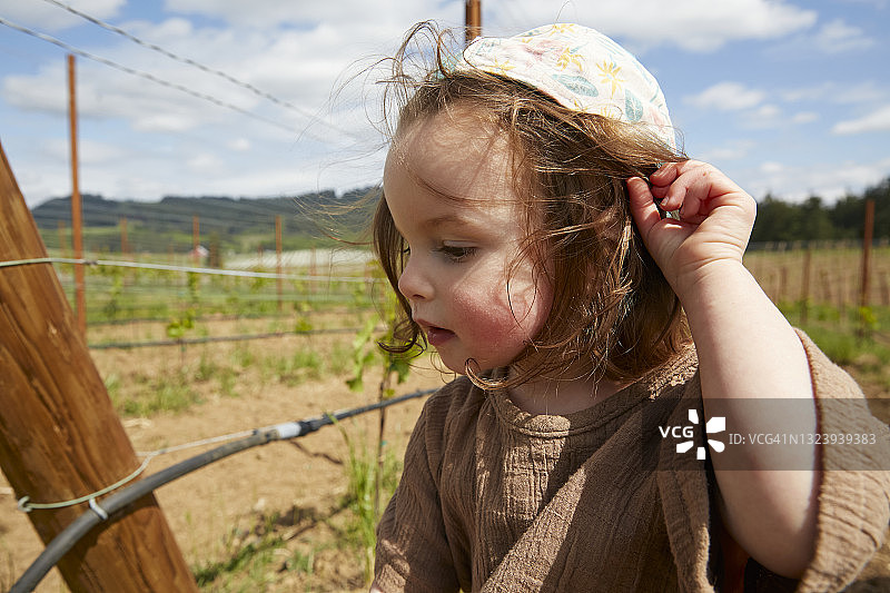 幼儿在葡萄园检查葡萄藤的特写图片素材