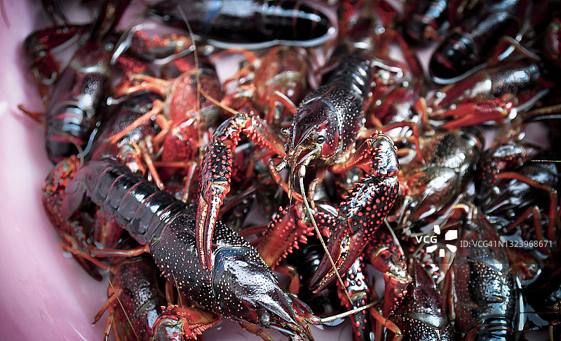 桶里的小龙虾图片素材