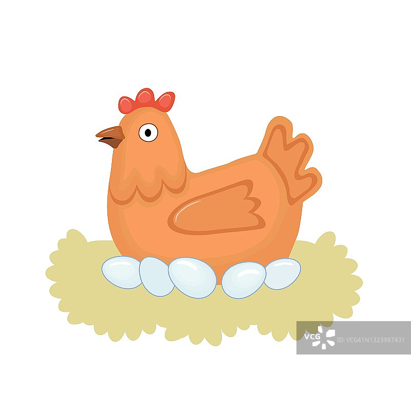 可爱的母鸡在草窝里孵蛋图片素材