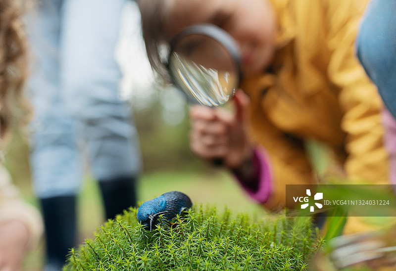 一群在自然中学习和探索蛞蝓的学童图片素材