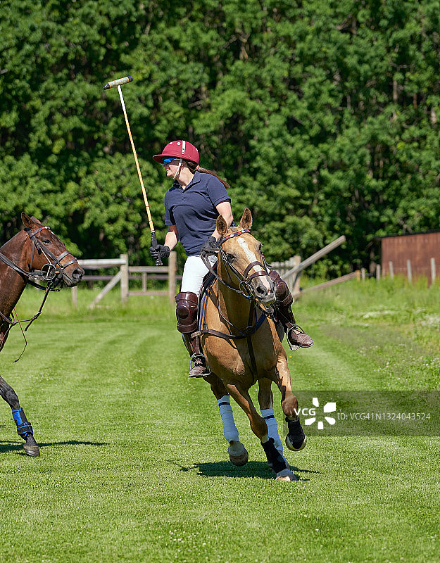 马球训练，挪威图片素材