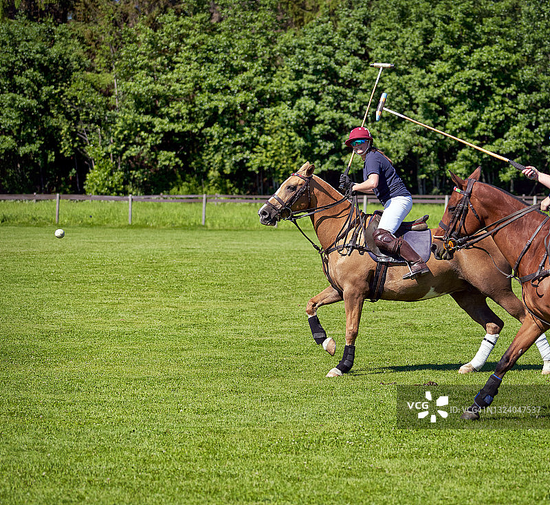 马球训练，挪威图片素材