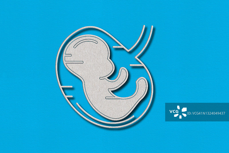 女性怀孕的毛毡图像，胎儿的概念图像图片素材