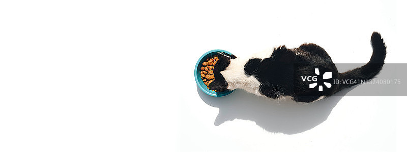 猫从碗里吃食物的俯视图图片素材
