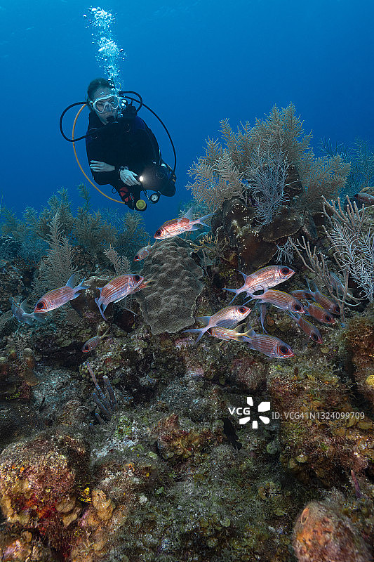 松鼠鱼与潜水员图片素材