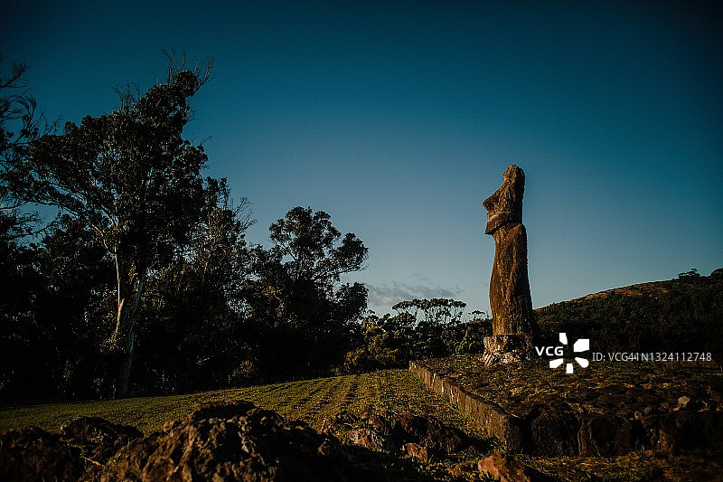 智利复活节岛汉加罗阿市的摩艾石像，背景是树木和蓝天图片素材