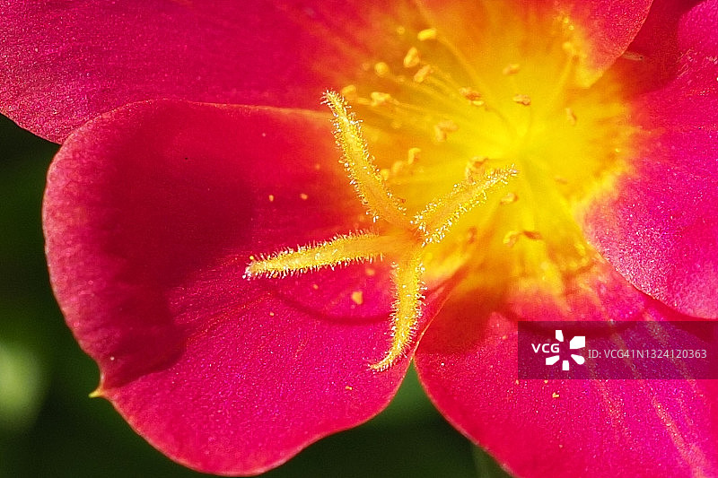 美好的一天图片素材