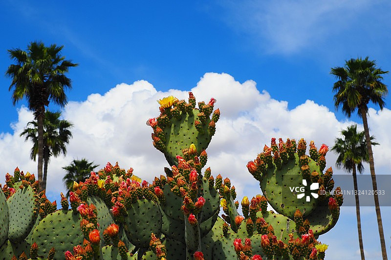 各种图层图片素材
