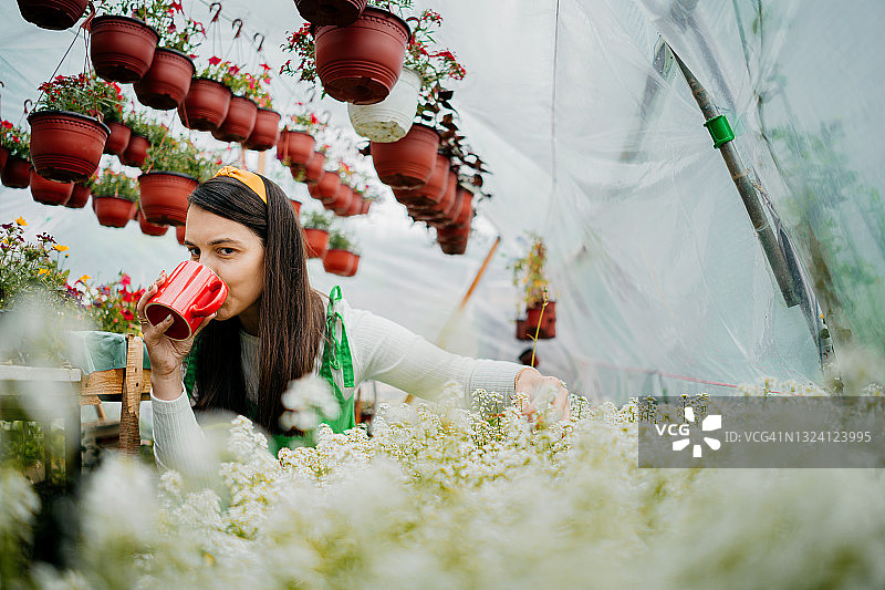女人喝咖啡，享受她的温室图片素材