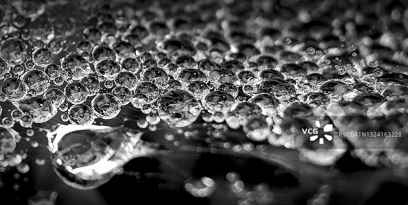 表面排列的水滴图片素材