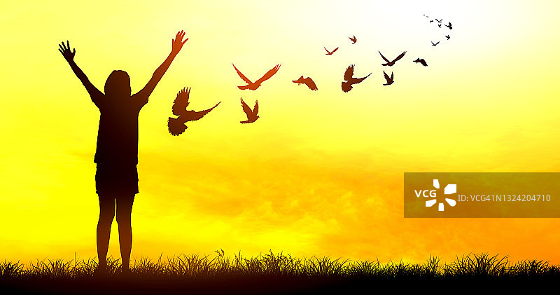 日落背景下的自由飞鸟，希望的概念图片素材
