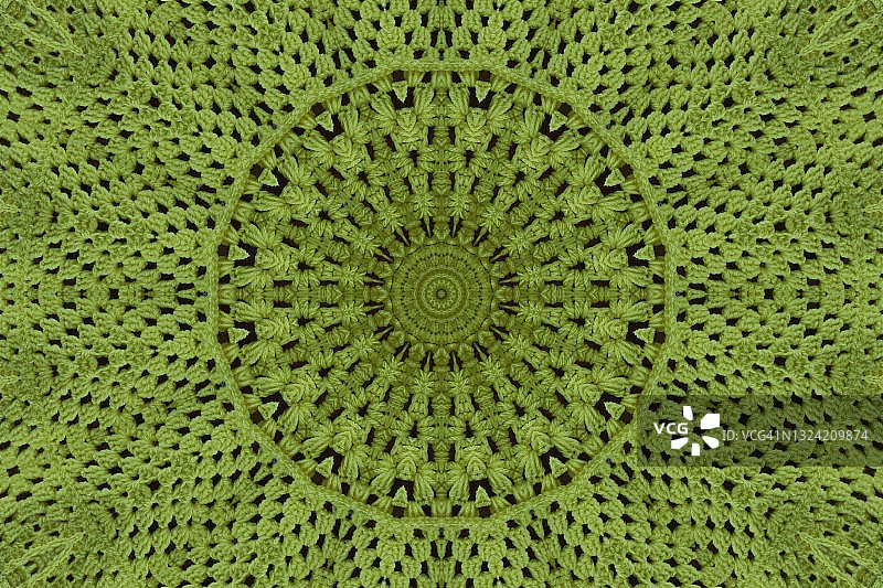 绿色蕾丝装饰桌布图片素材