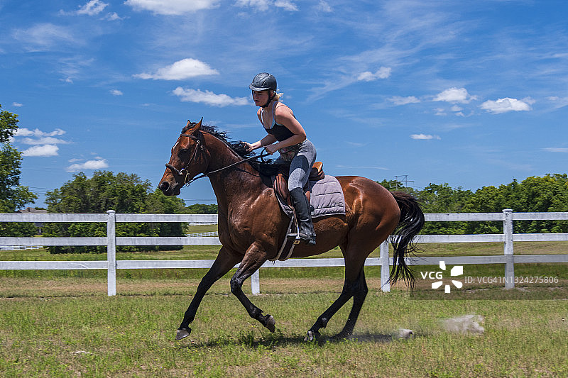 少女骑着一匹纯种马图片素材