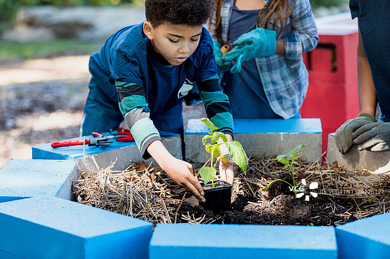 小男孩在城市花园高架花坛种植植物图片素材