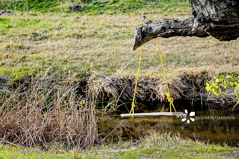 简易树秋千图片素材