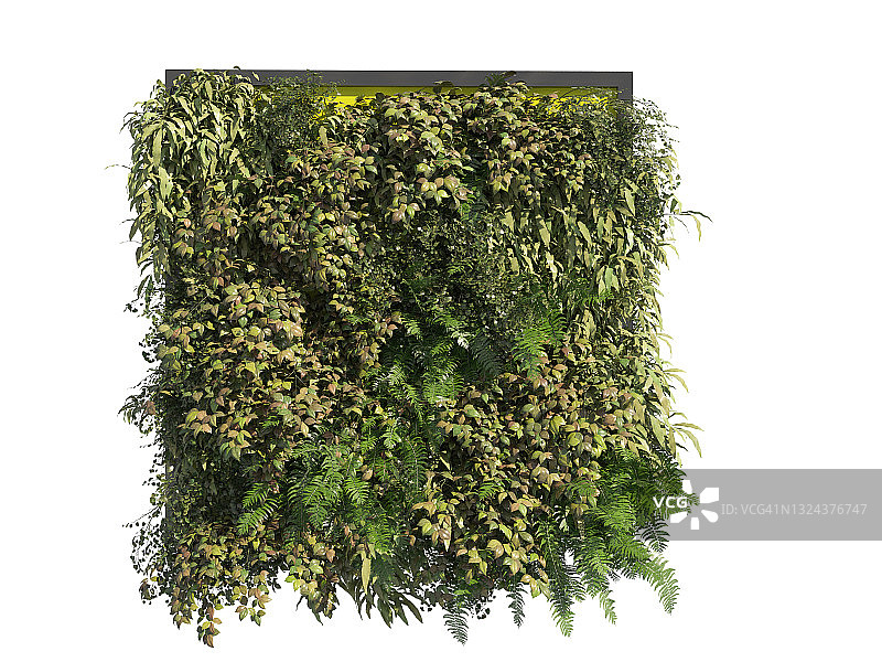 Fitowall办公室用品图片素材