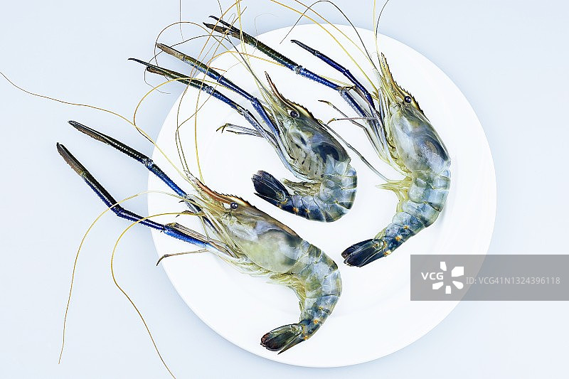 白色盘子里的三只鲜虾图片素材