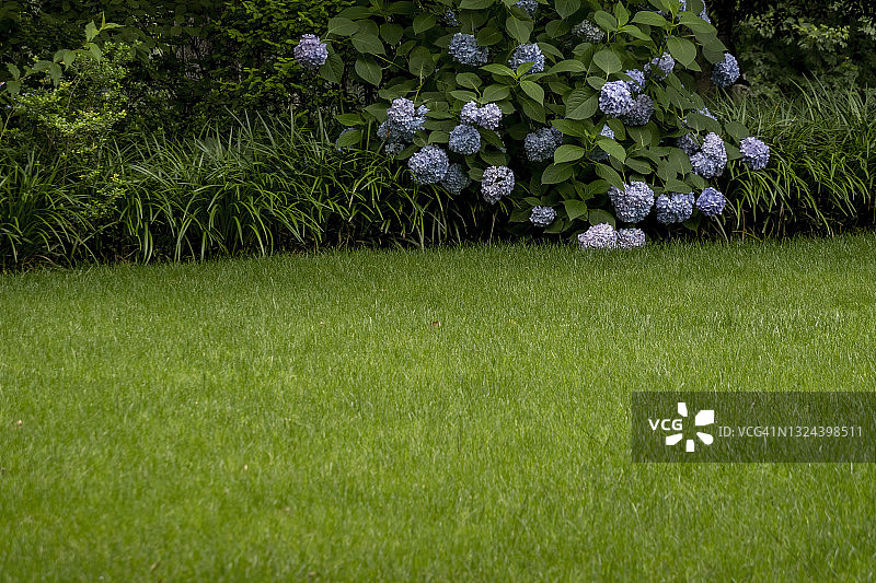 中国杭州西湖周围的绿地图片素材