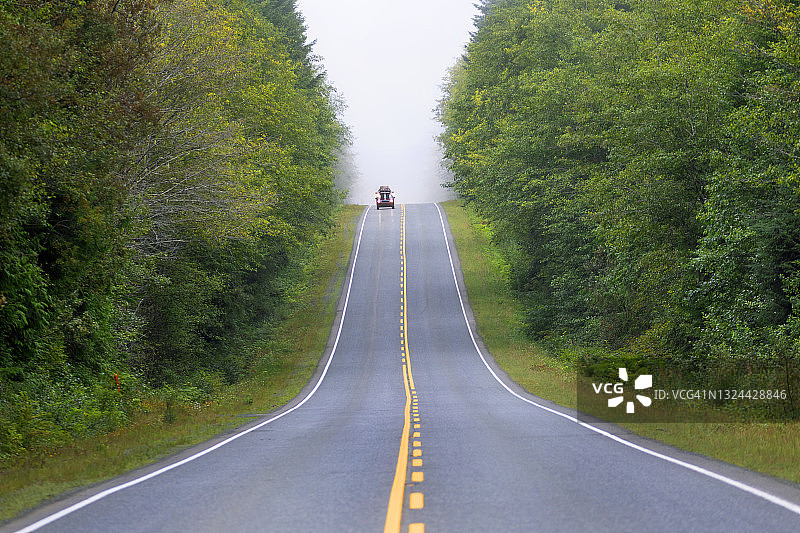 汽车在森林道路上行驶图片素材