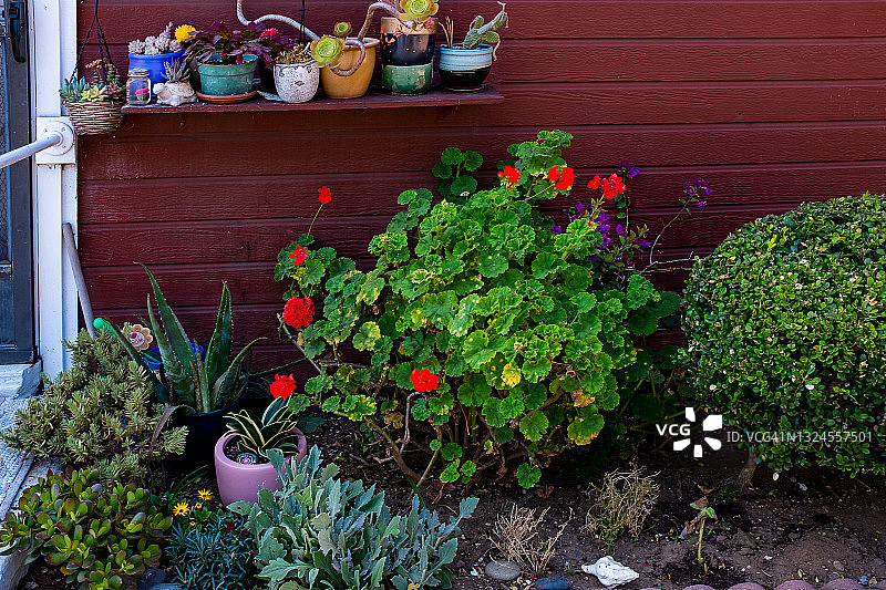 花园一角图片素材