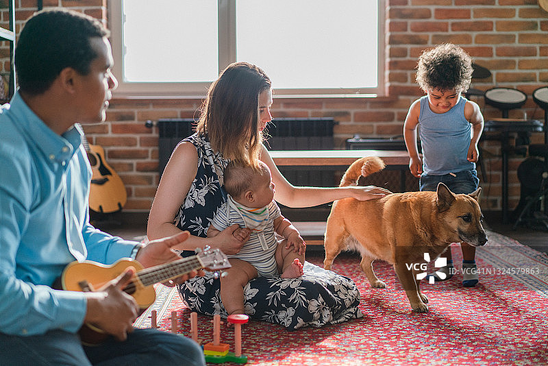 父亲教儿子弹尤克里里图片素材