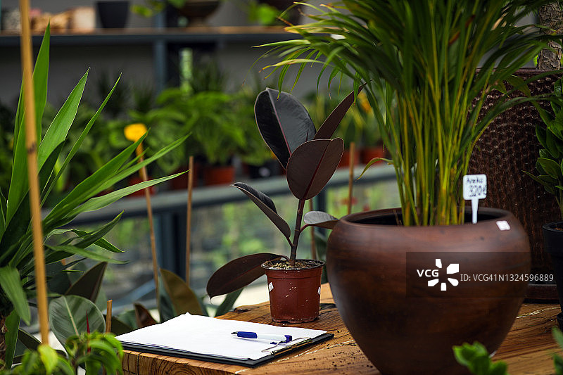 小型商业：植物园、花店和笔记本图片素材