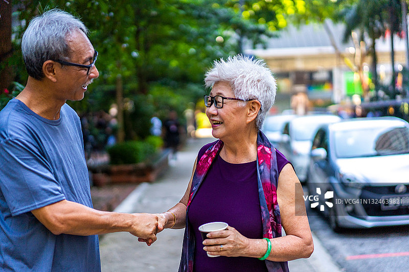 亚洲老年夫妇在户外握手图片素材
