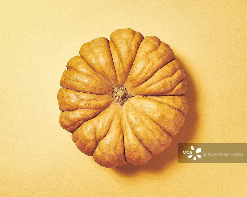 橙色背景上的俯视南瓜图片素材