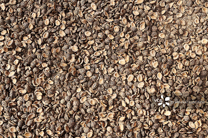 俯瞰桃核地面覆盖物图片素材