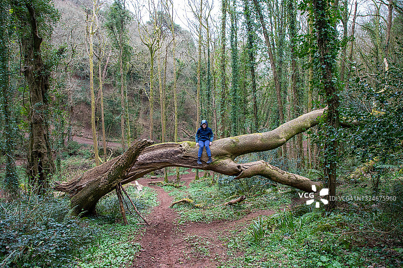 青少年男孩坐在倒下的树上图片素材