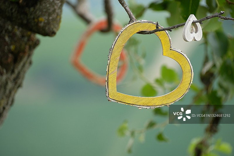 山地景观树枝上的木制心形装饰图片素材