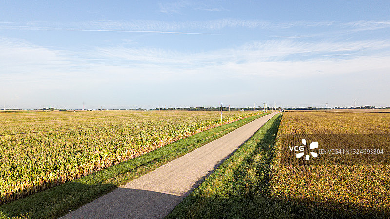 穿过玉米田的乡村道路图片素材